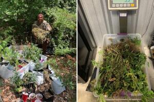 Larry Gest Jr mariguana plantío Fayette Texas