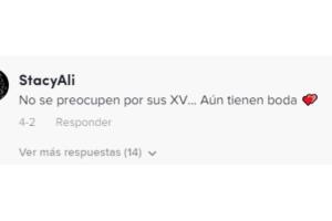 internauta bromea con fiesta.jpg