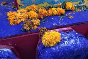 Flor de los muertos 2 