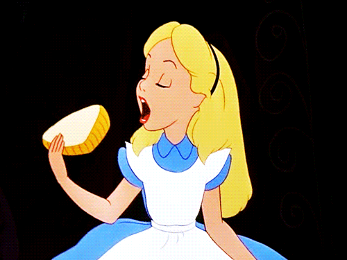 cogumelo4.gif