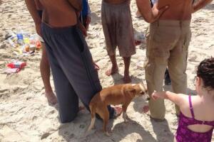 Grupo de balseros cubanos llegaron hasta Miami Beach