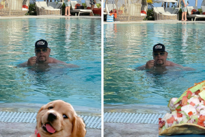 collage_twitter_perro_bermudez