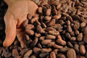 salud enfermedades hipertension