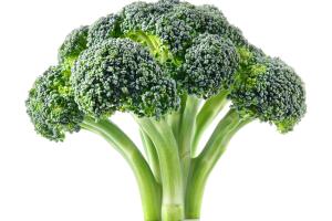 Broccoli. Fresh broccoli isolated on white. Full depth of field.