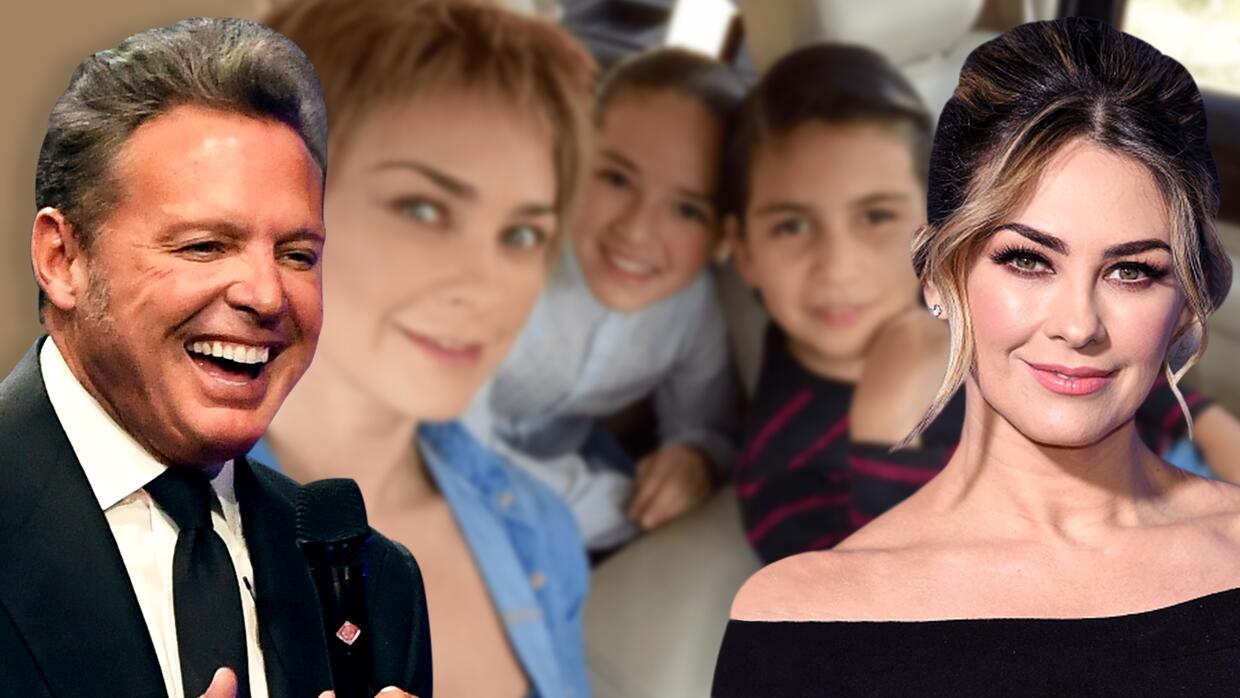 Aracely Arambula Reconoce Que Si Invitaria A Luis Miguel A La Primera Comunion De Sus Hijos Famosos Univision