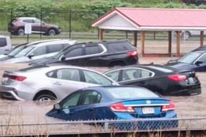 AP25133788261740 (2).jpg