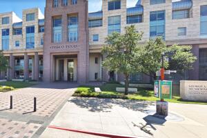 A View of the Skyline Austin