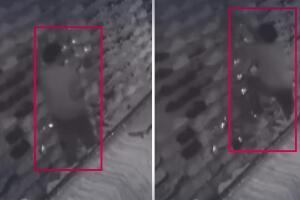 El sospechoso no se dio cuenta que robó zapatos de un solo pie.