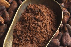 Salud Cacao