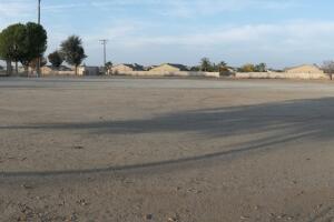 park9-Olive_Bowl_-_KaKu_.jpg