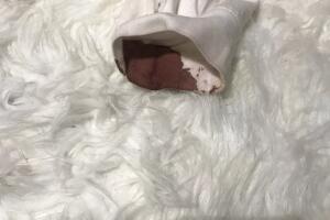 Robinson clothes 1.jpeg