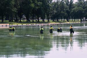 Lincoln Memorial Reflecting Pool