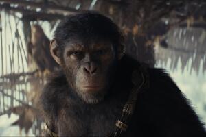 Noa es el protagonista de 'El planeta de los simios: nuevo reino'