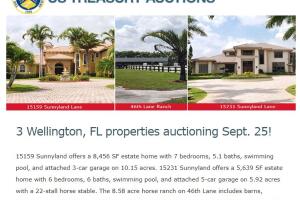 Subasta de bienes de Alejandro Andrade