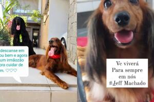 Estos fueron parte de los mensajes de despedida que aparecieron en la cuenta de Instagram de los perros del fallecido Jeff Machacho. Según O Globo, el perfil es ahora manejado por un "amigo" del actor.  