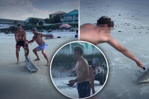 Pescan tiburón en Florida