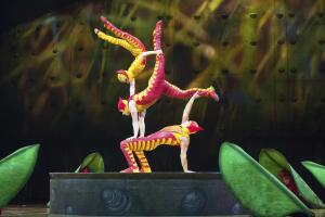 Brazil: Cirque du Soleil OVO in Sao Paulo