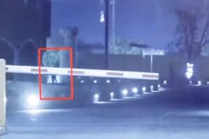 Sequence 010 (1).jpg