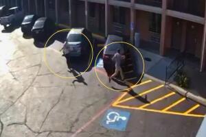 Asesinatos Dallas