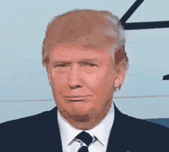 gif-donald.gif