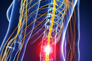 medula-coluna-vertebral.jpg