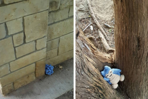 Snorlax escondido