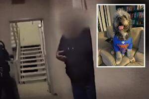 "No voy a dejar que me muerda": advirtió el policía del LAPD antes de matar al perro Jameson