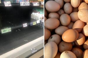 Promo escasez huevos.jpg