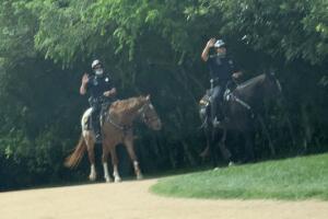 GALERIA PARQUES/PARQUE-7.jpg