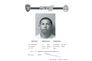 PR detenido gato.png