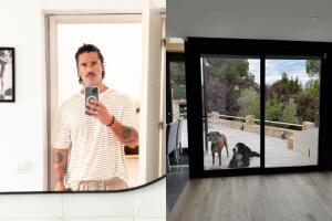 Matías Novoa y Michelle Renaud protagonizan fotos en su nueva casa