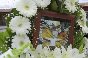 El Guardián de las monarcas .jpg