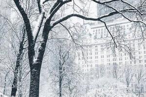 NY amanece totalmente blanca por tormenta de nieve