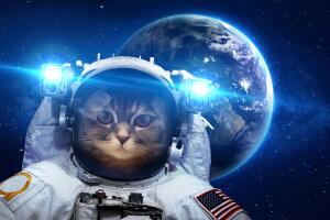 gato-espacio.jpg