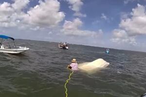 La rápida respuesta del 911 y la ayuda de ciudadanos evitaron una tragedia en aguas de Florida