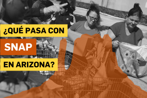 ARIZONA SNAP BANCOS DE ALIMENTOS