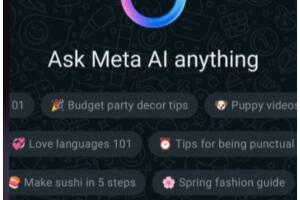 META IA.jpg