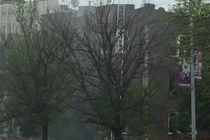 Incendio en Lakeview