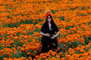 dia-de-muertos.png