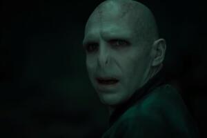 harry_potter_voldemort.jpg