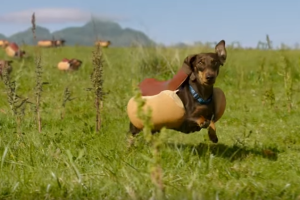 comercial-heinz_2.png