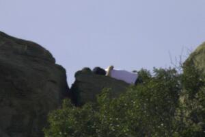 EXCLUSIVE Kevin Spacey Enjoying an Intimate Moment with a Boy Back in 2000 - FILE PHOTOS