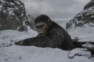 César en la película 'El planeta de los simios: la guerra' (2017)