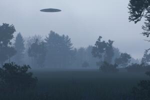 OVNI entre los árboles, imagen