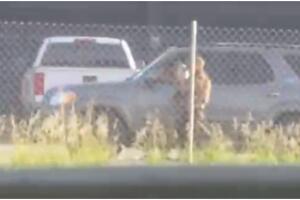 Reportan operativos ICE Pequeña Habana Miami