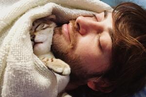 por_que_tu_gato_duerme_contigo.jpg