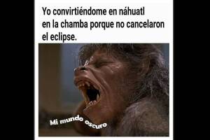 Los mejores memes del Eclipse Solar Total 2024