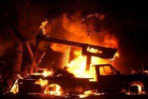 AP24255519680062 (1) (1).jpg