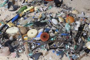 New Zealand Island Trash