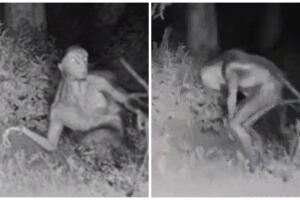 video de extraterrestre en texas.jpg